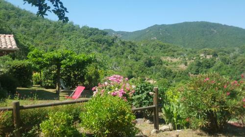 Chalet de 2 Chambres Avec Jardin A Zicavo