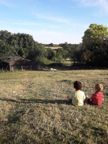 Ecolodge Terre Et Eau