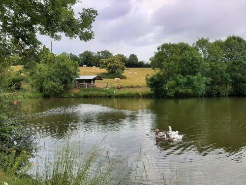 Ecolodge Terre Et Eau