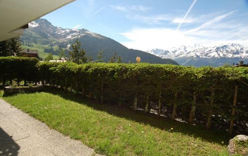 Apartamentos Boucanier 002, Appartement Avec Jardin