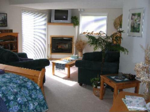 Avens Renaissance B&B