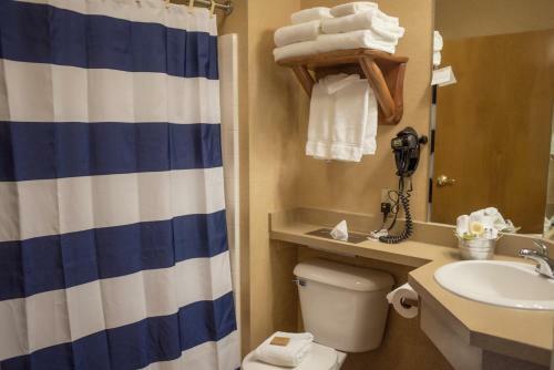 Stoney Creek Hotel & Conference Center - Peoria