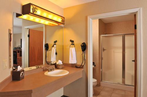 Stoney Creek Hotel & Conference Center - Peoria