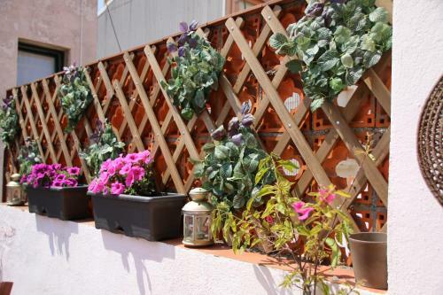 Apartamento La Magn�lia I L�alzina