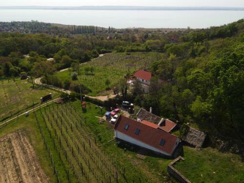 Villa Sun & Wine Balaton