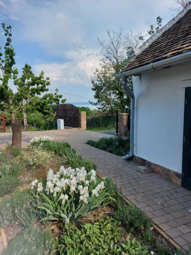 Villa Sun & Wine Balaton