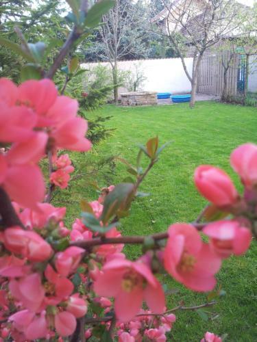 Hostal Anna Apartman