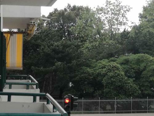 Verde Apartment
