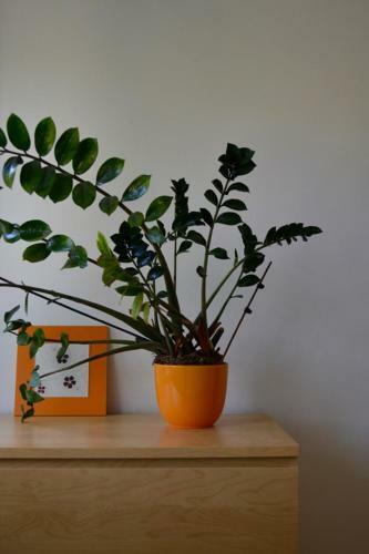 Apartamento Sweet Home In Ljubljana