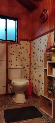Apartamento Domo Vive Pellaifa