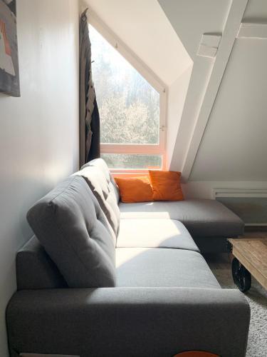 Apartamento Annecy Tranquille