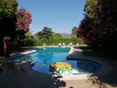 Apartamento Com Piscina C de Bastos By Izibookings