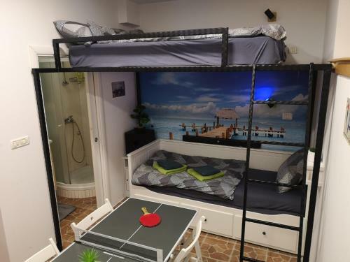 Apartamento Studio Ma?a