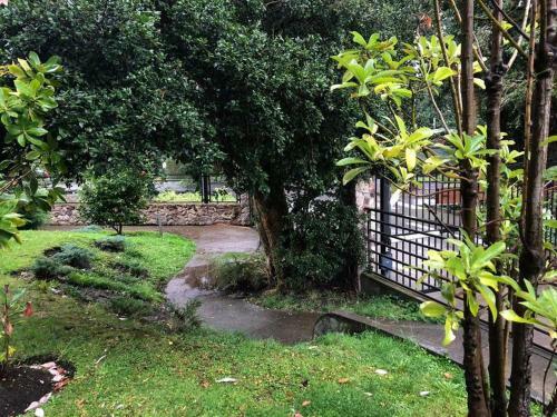 Apartamento C�modo, Amplio Y Moderno Departamento En Puc�n
