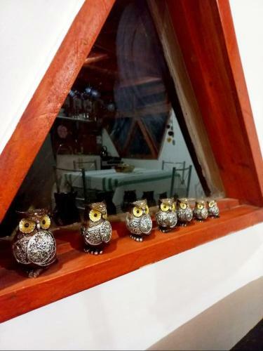Hermoso Domo Ecoconstruido