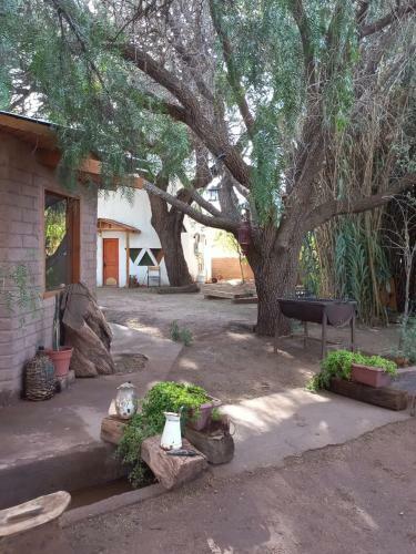 Hermoso Domo Ecoconstruido