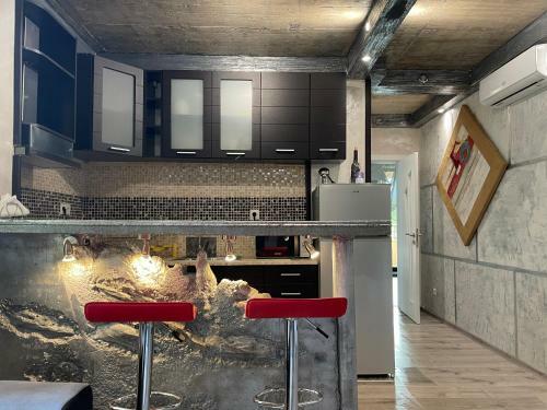 Sten-mary Apartament Vitosha