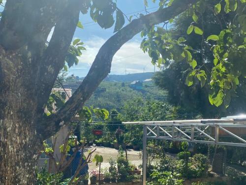 Shine ?� L?t Homestay