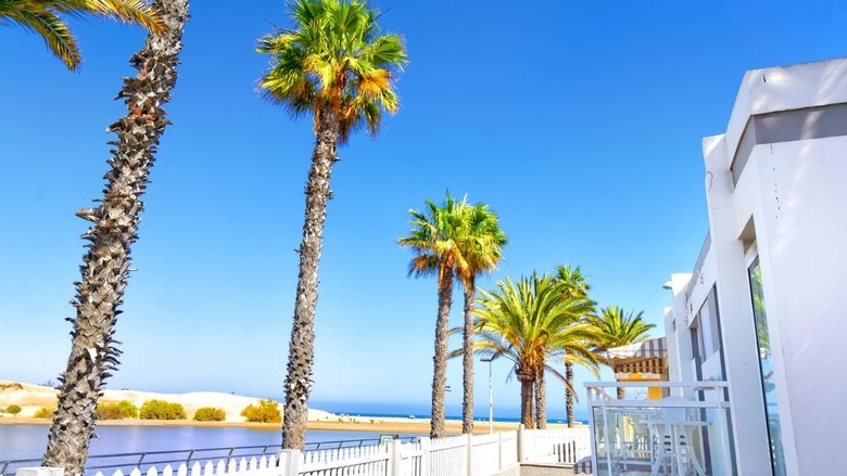 Cocoteros Apartments - Riversun Touristics