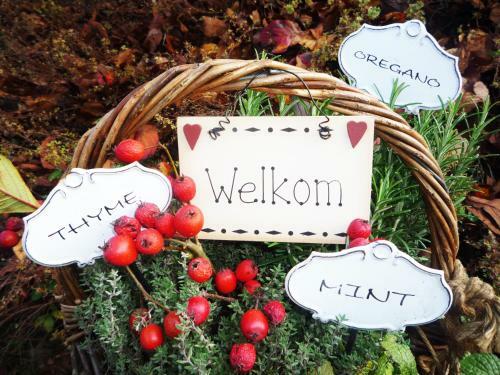 Bed & Breakfast Al Chiar�