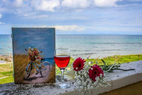 Pelagion II Sea Coral - Beachfront Holiday Home