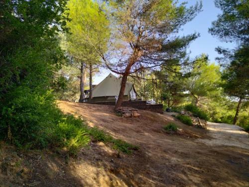 Zelt 6 Camp West