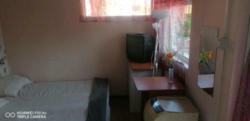 Berg Piknik T�bor