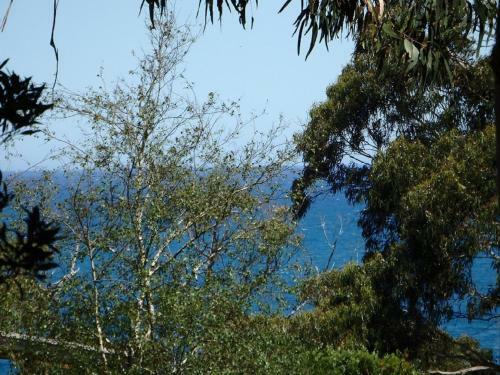 Barca View Cottage