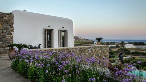 Villa Argy Kalo Livadi Mykonos