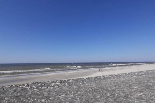 Apartamento Ferienhaus Fewo Westkapelle 105.3