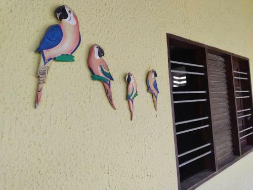 Aconchego E Comodidade Em Maragogi