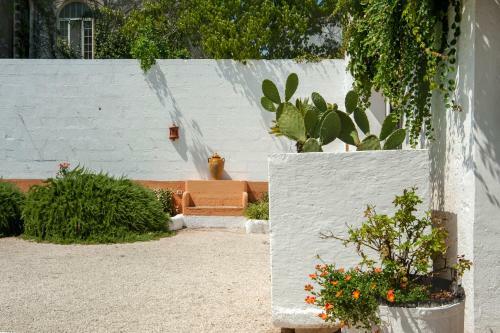 Agroturismo La Macchiola Agriresort