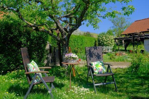 Apartamento Ferienweingut Wissing Wohnung Theo