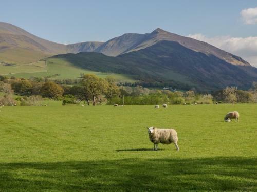 Ashness