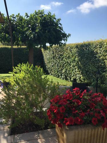 D�tente En Provence