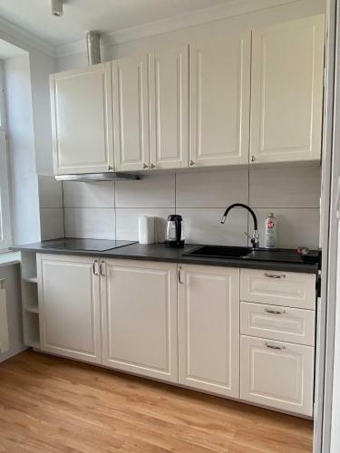 Apartamento Studio In The City Center!
