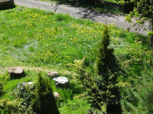Apartamento Alpin-check-in