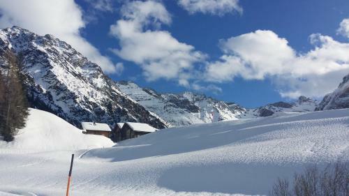 Apartamento Alpin-check-in