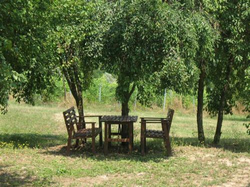 Agroturismo Agriturismo La Torretta