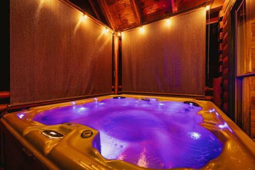 Bear Down With Hot Tub, Pool Table, Arcade Games