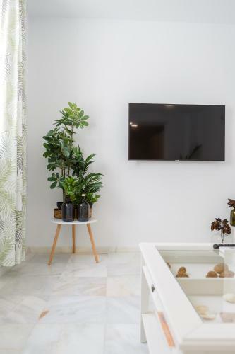 Apartamento La Pepa de Oro By Cadiz4rentals