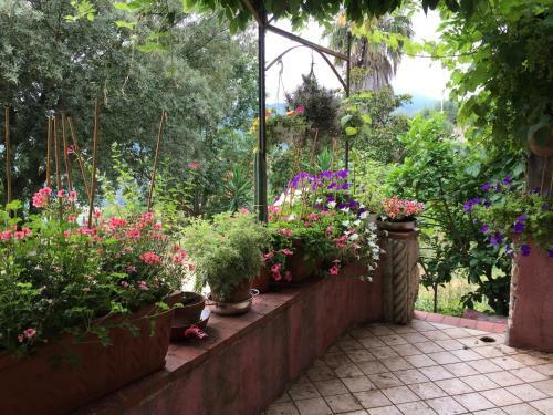 Agroturismo Agriturismo La Rocca Di Perti