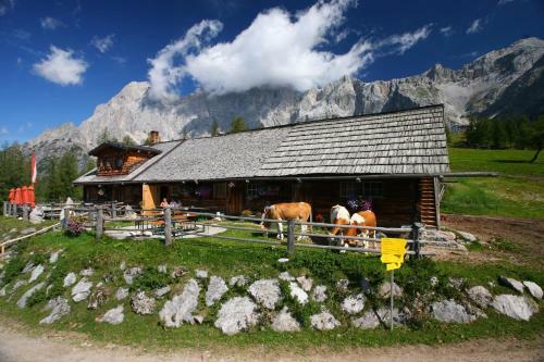 Apartamento Appartement Enns By Schladmingurlaub