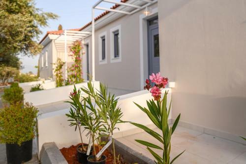 Apartamento Dionisos Suites