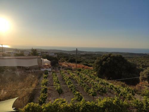 Villa Kara - Bed And Breakfast