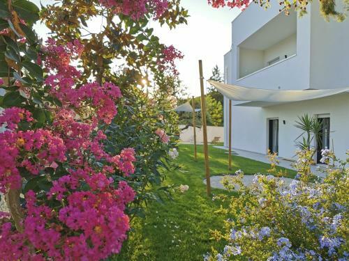 Hostal Green Land B&B Boutique