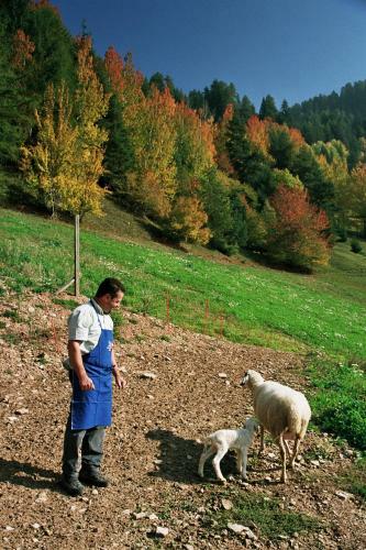 Agroturismo Ratzeshof