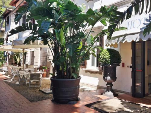 Hotel Tirreno