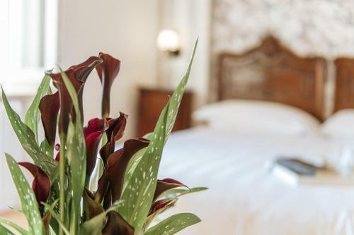 Hotel Aganoor