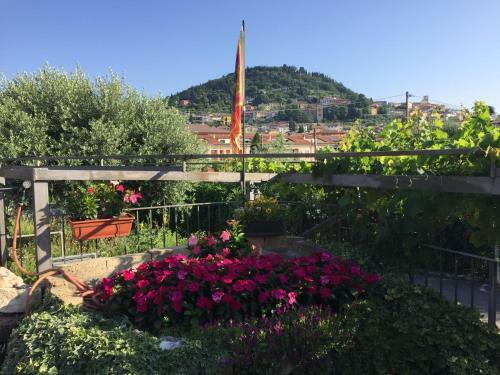 Hostal Borgo Piccolo